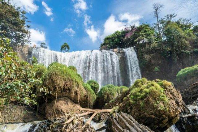 Conquer the wild elephant mysterious mountain forest in Da Lat